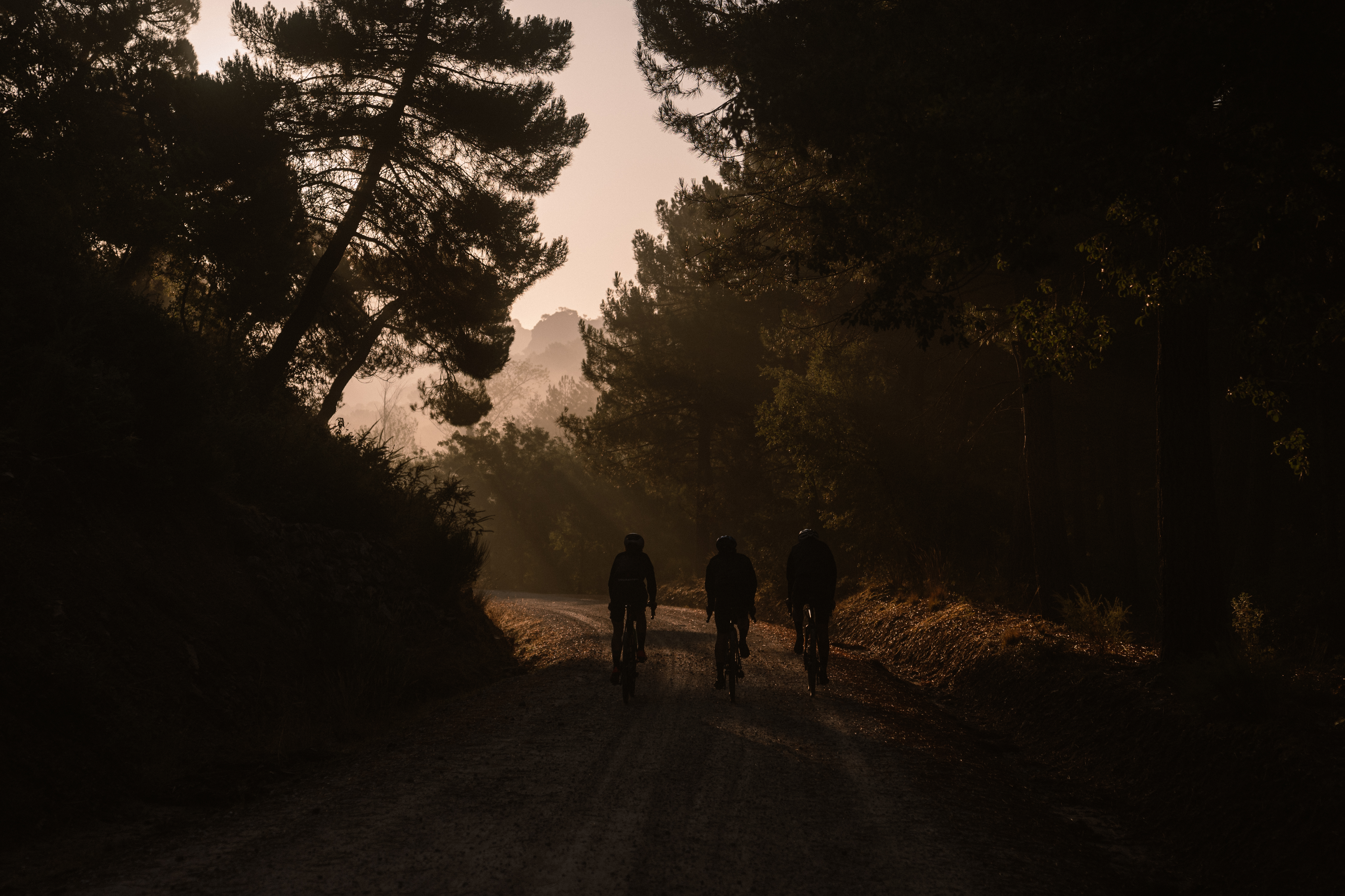 Terra Trail | ProTection